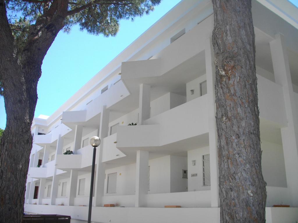 Apartment Falésia